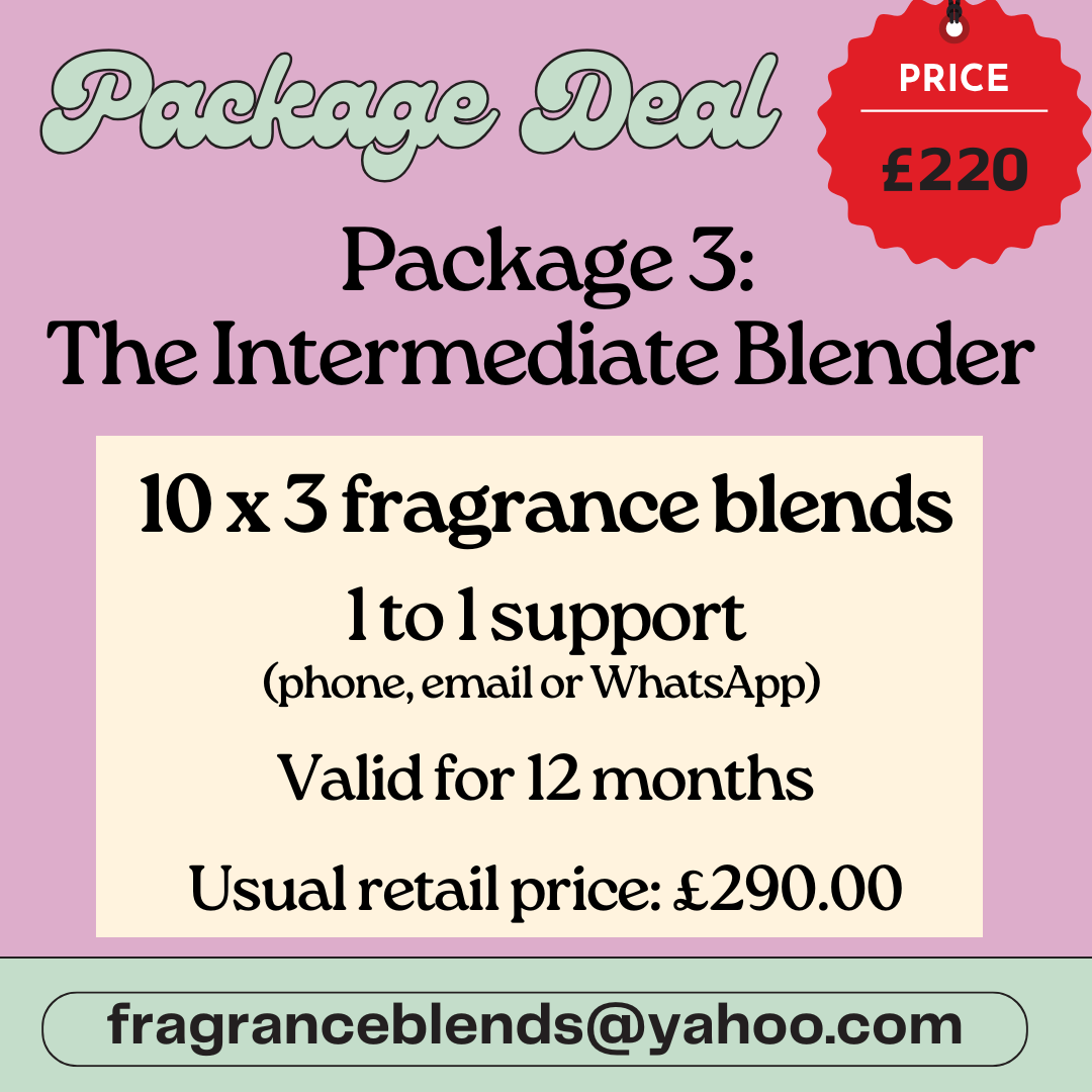 Package 3 - The Intermediate Blender Bundle