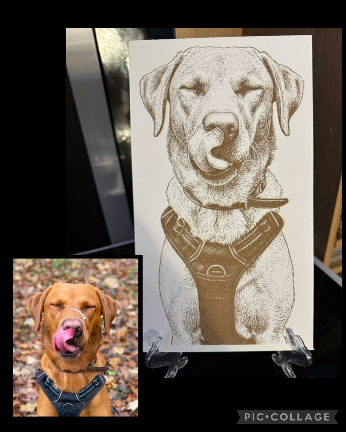 A custom engraved dog portrait print displayed on a stand, featuring a brown sketch of a dog wearing a harness on a white background, with a small inset photo of the real dog wearing the matching harness in the lower-left corner.