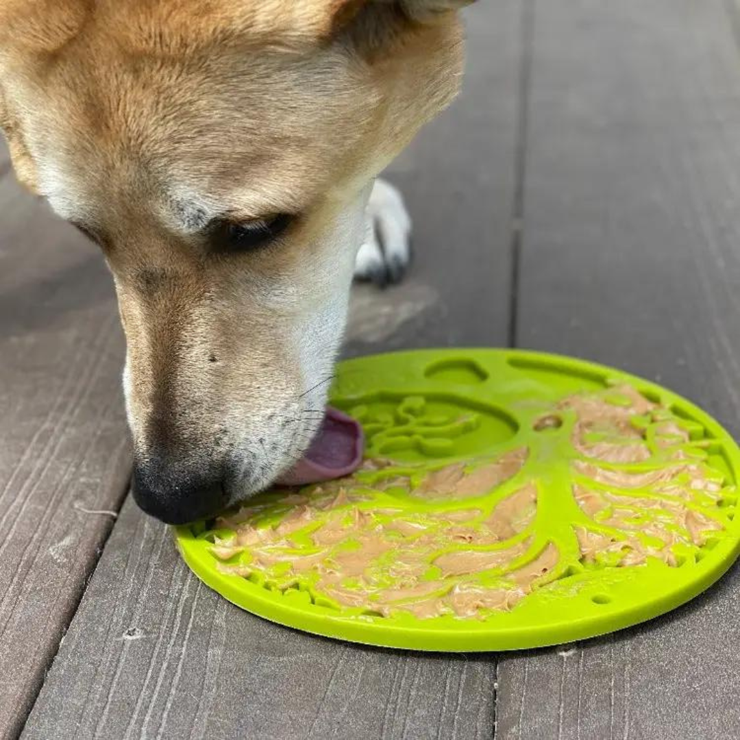 Pet Lick Mat with suction cups