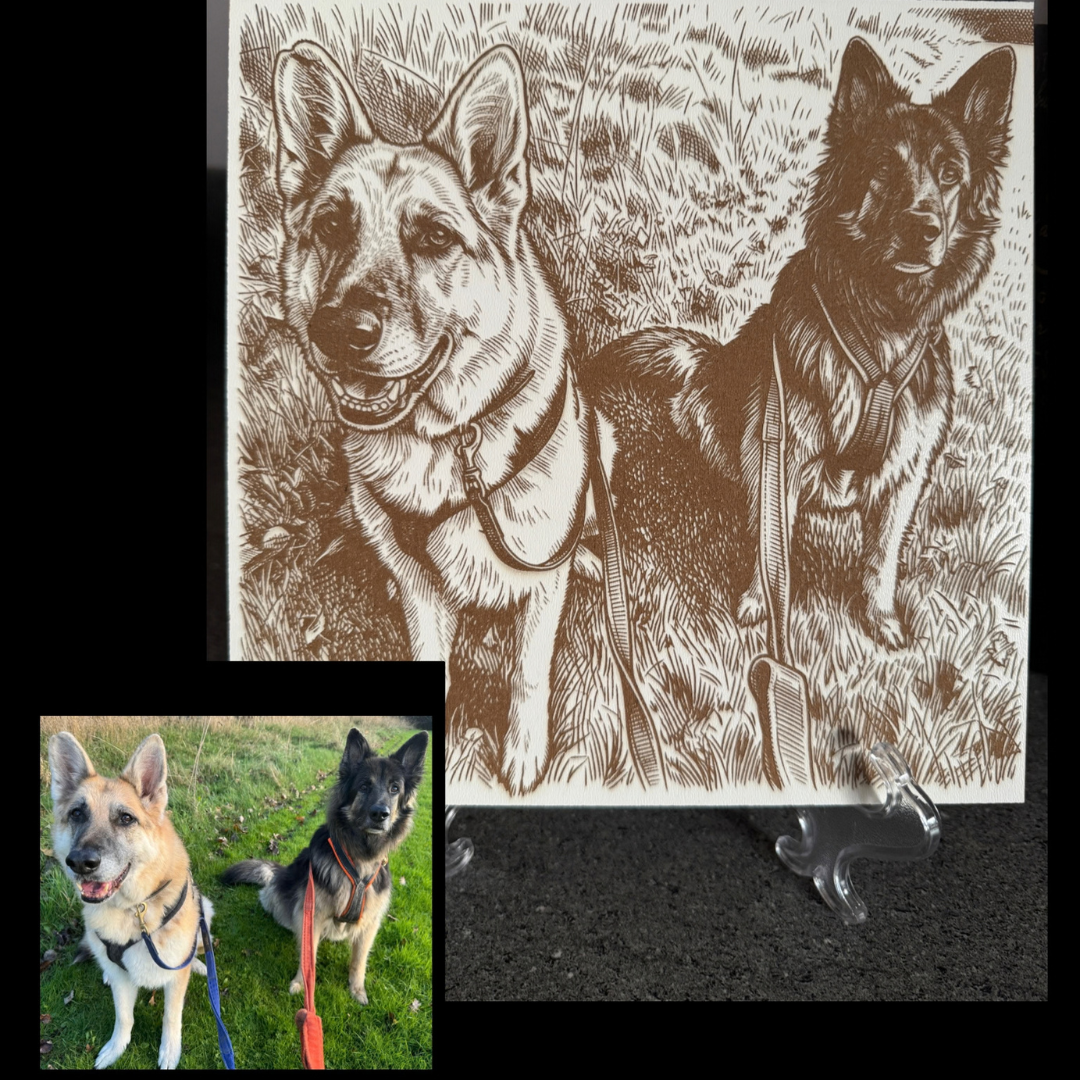 A custom engraved print of two German Shepherd dogs wearing collars and leashes, displayed on a black surface with a small inset photo of the actual dogs wearing matching collars and leashes on grass.