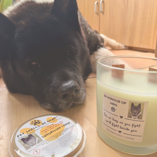 Snowkissed Lodge - Fighting for Hiro 🖤